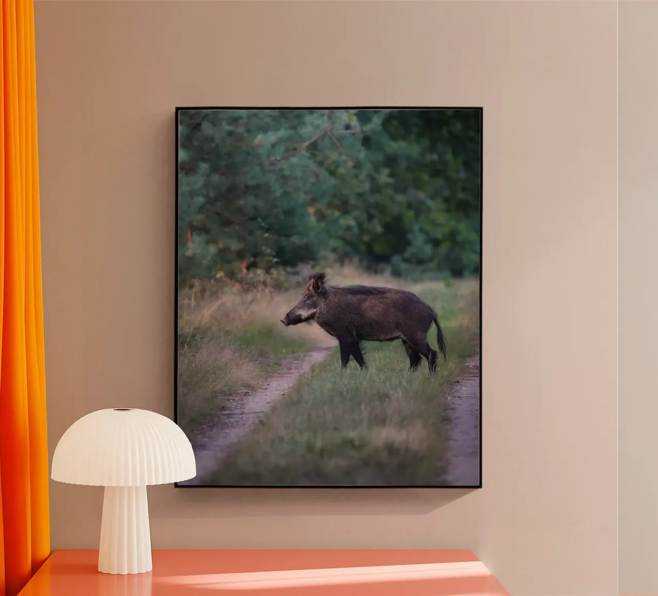 Cinghiale nella foresta plexiglass da Tom's Wildlife