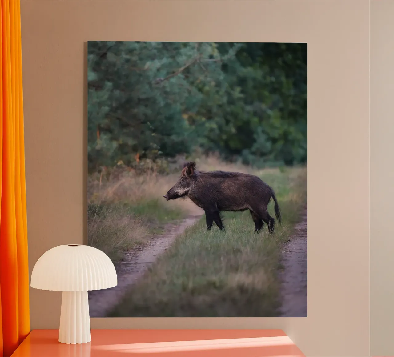 Cinghiale nella foresta plexiglass da Tom's Wildlife