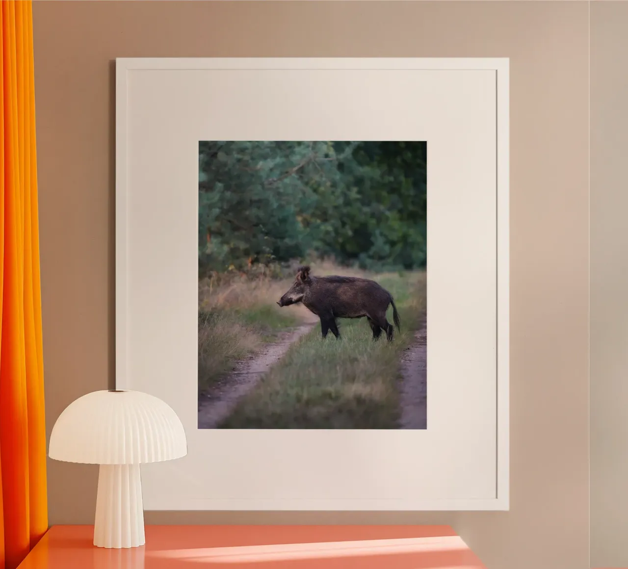 Cinghiale nella foresta poster da Tom's Wildlife