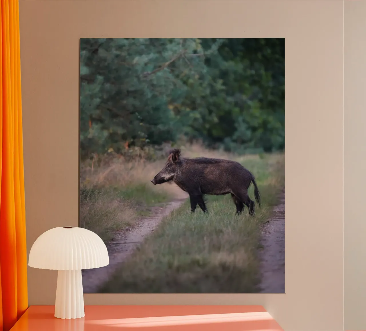 Cinghiale nella foresta poster da Tom's Wildlife