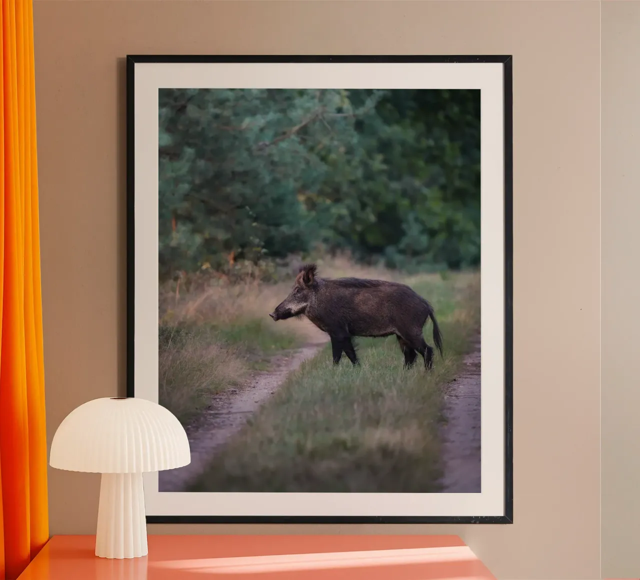 Cinghiale nella foresta poster da Tom's Wildlife