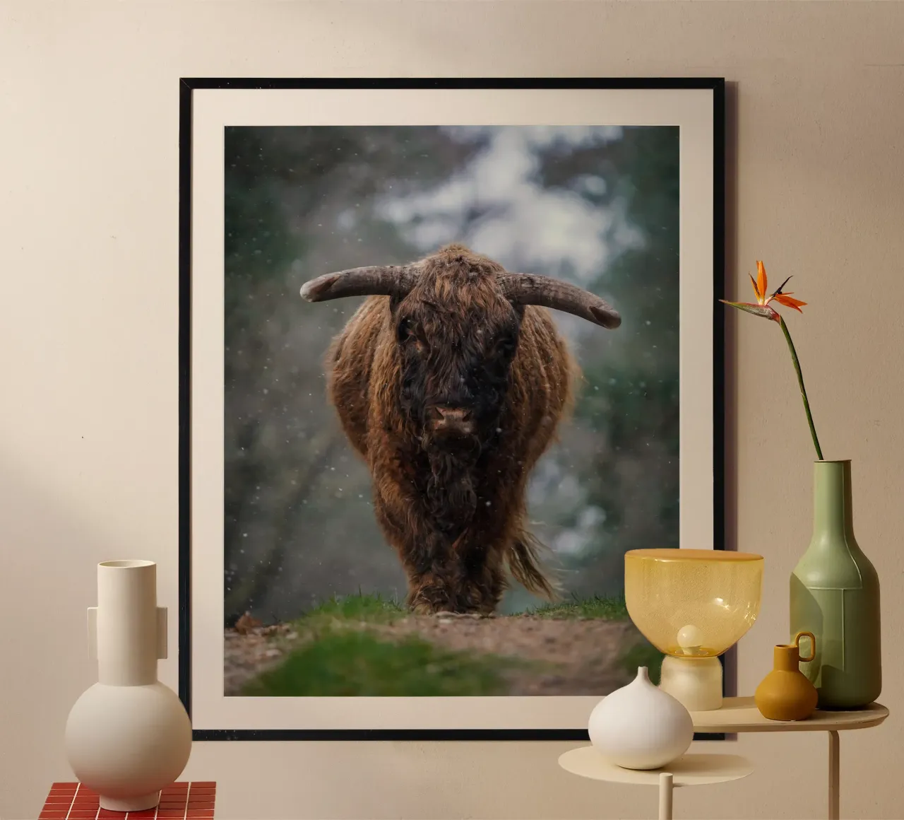 Mucca Highland in inverno poster con telaio in plastica da Tom's Wildlife