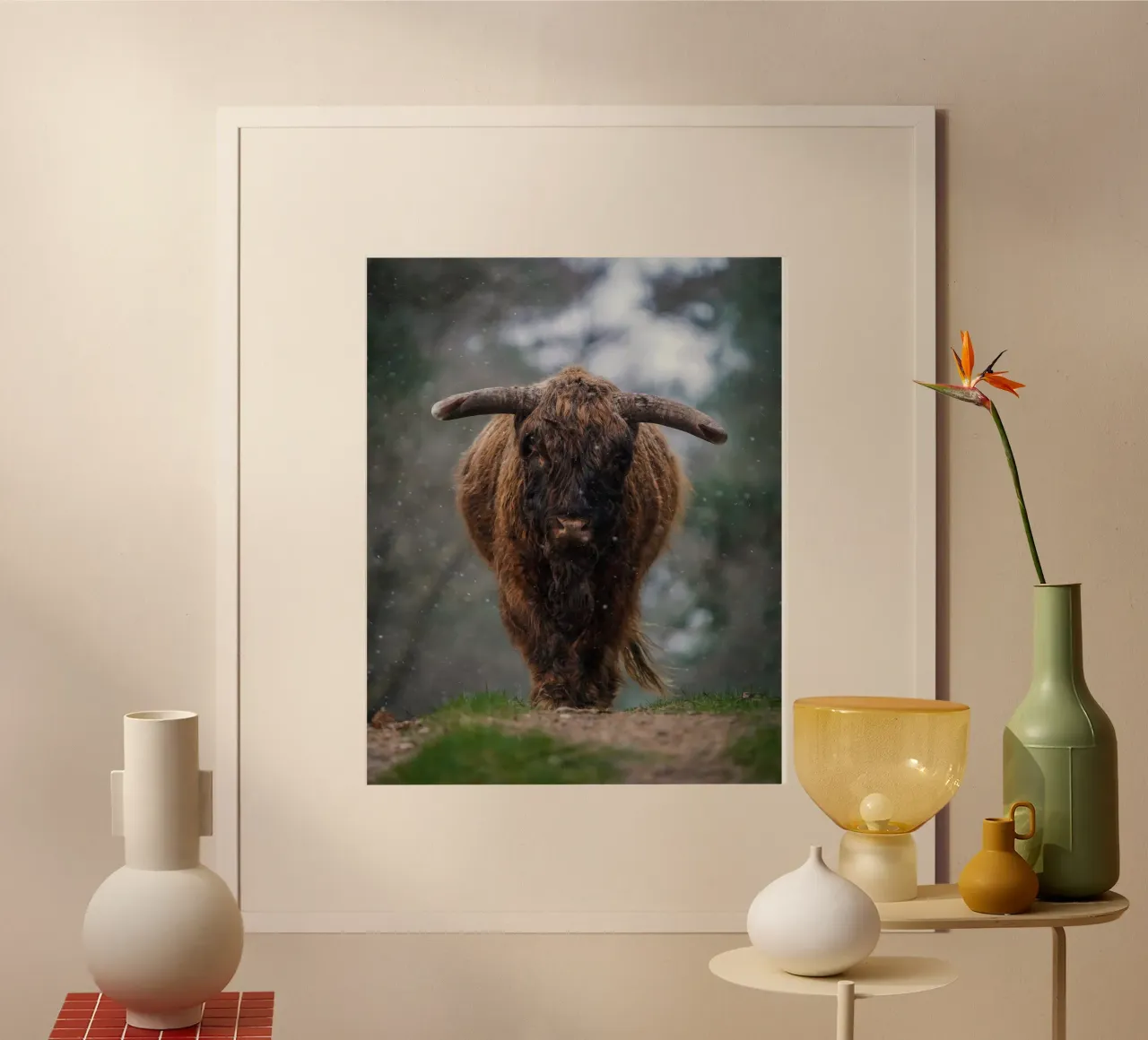 Mucca Highland in inverno poster con telaio in plastica da Tom's Wildlife
