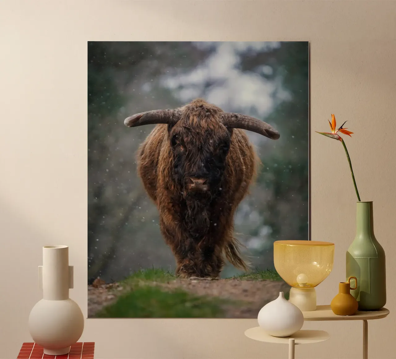 Mucca Highland in inverno poster con telaio in plastica da Tom's Wildlife