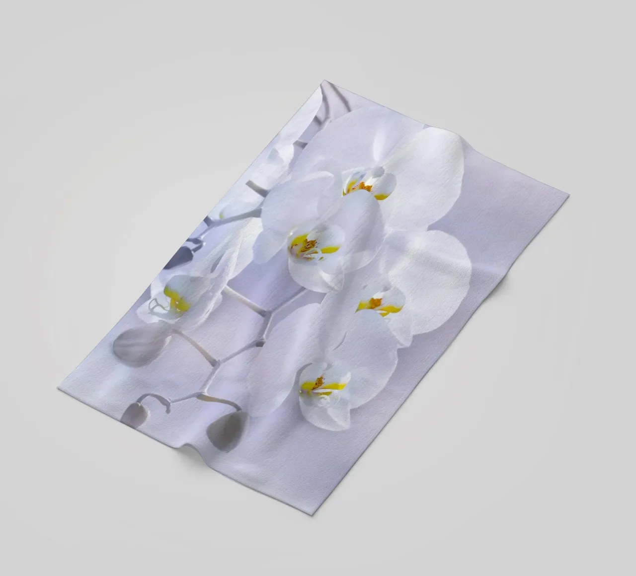 Orchidee telo mare da Atteloi