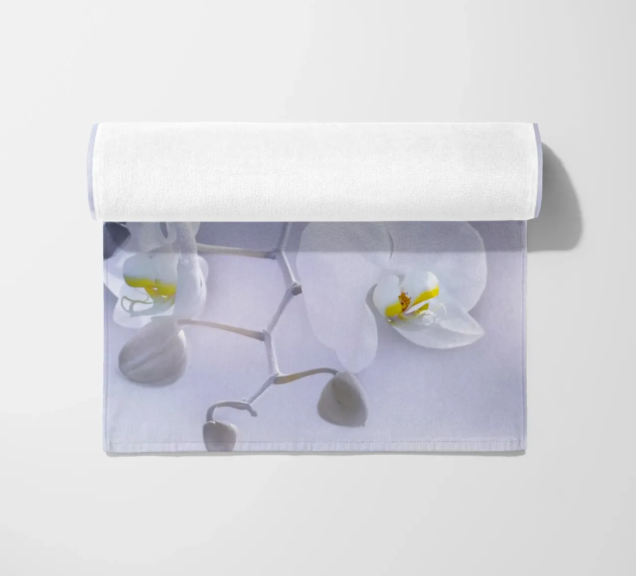 Orchidee telo mare da Atteloi