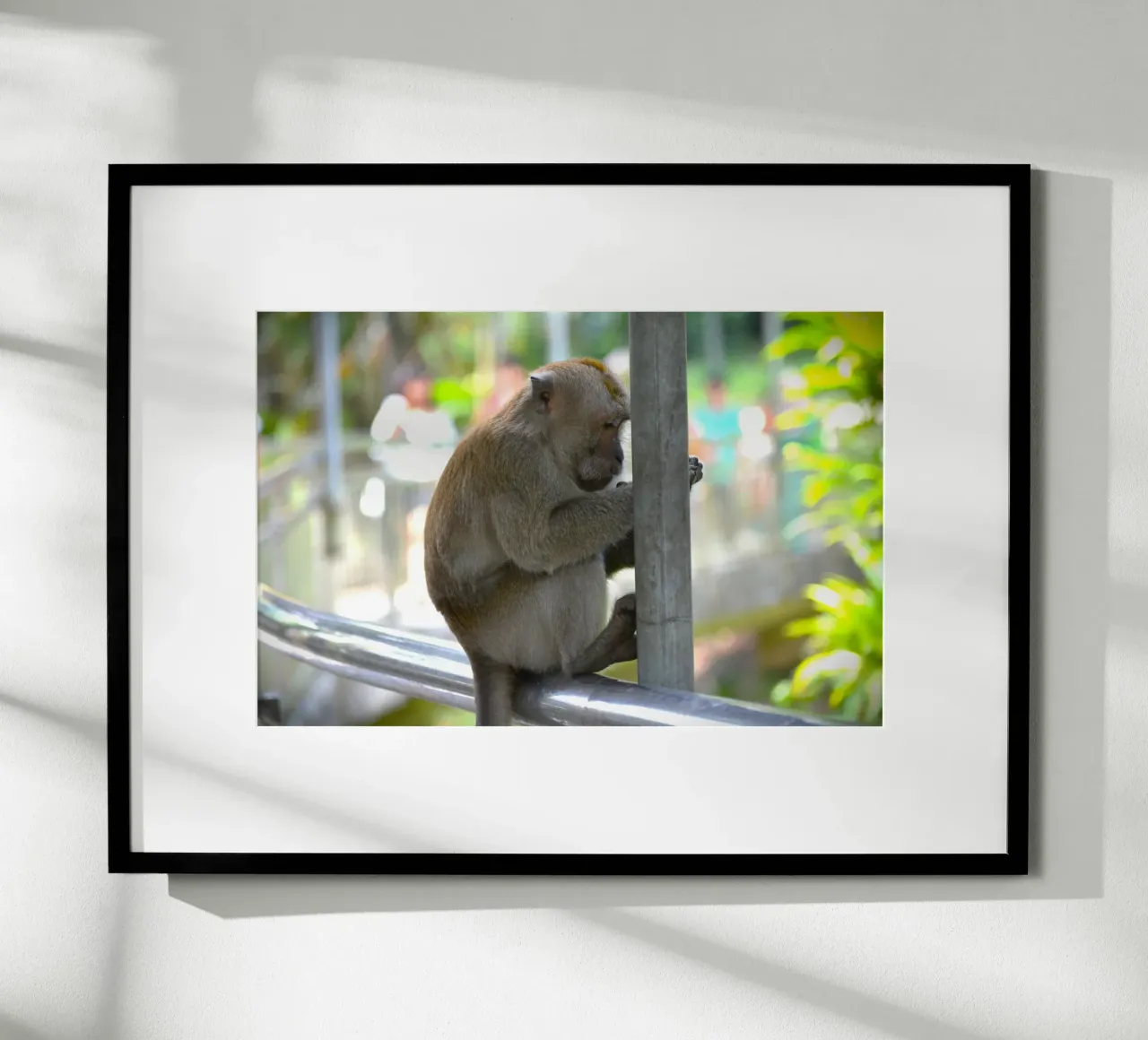Thoughtful Monkey in KL Bird Park poster by byrieneke