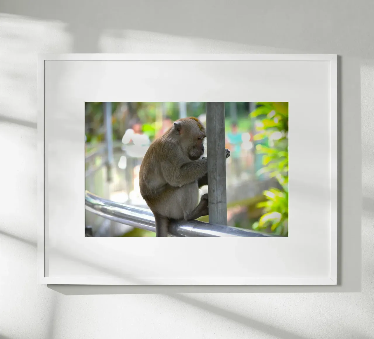 Thoughtful Monkey in KL Bird Park poster by byrieneke