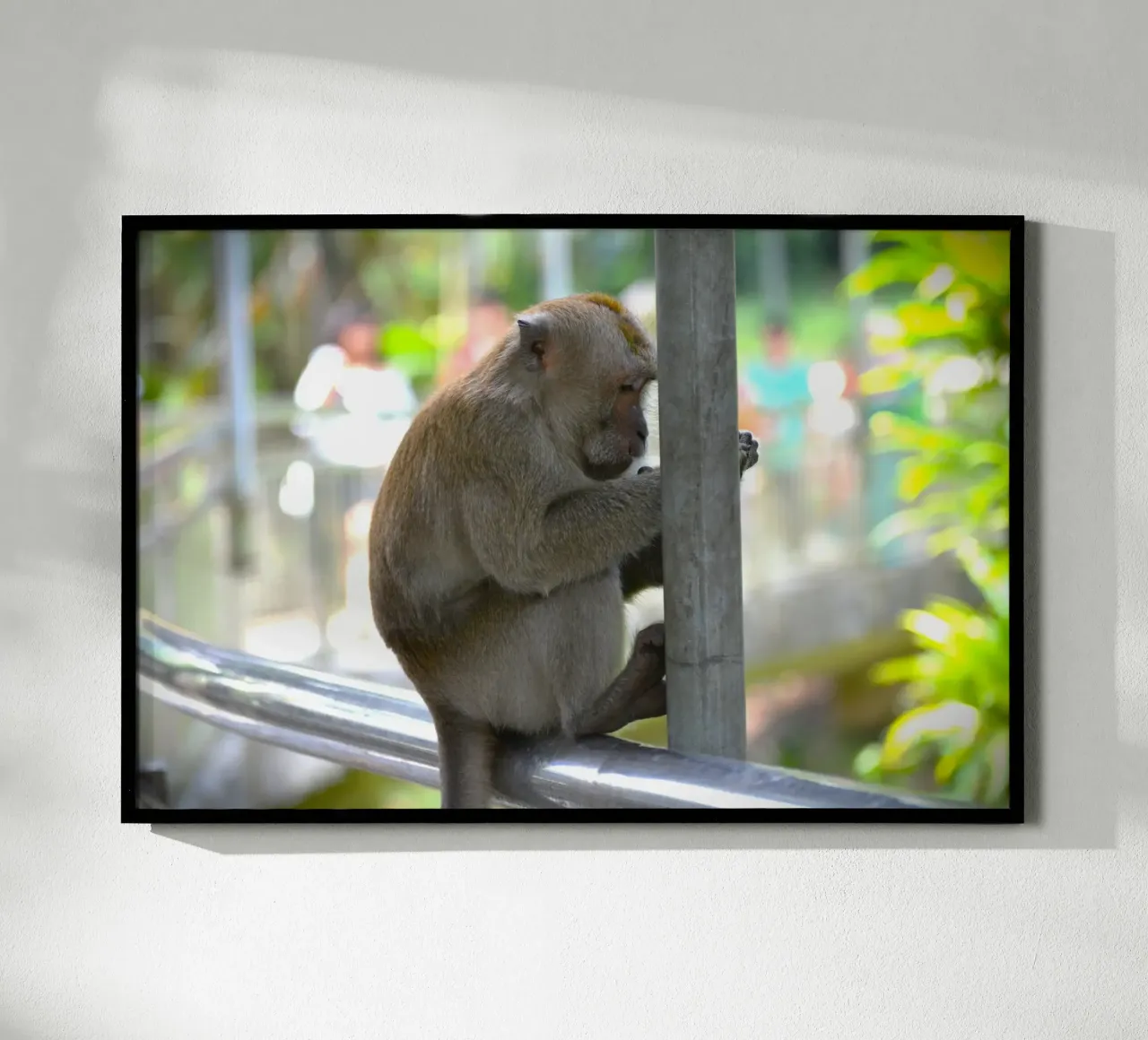 Thoughtful Monkey in KL Bird Park poster by byrieneke