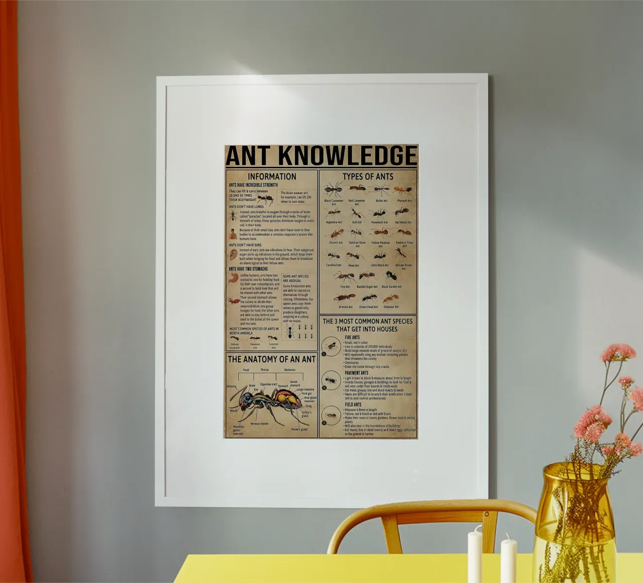 conoscenza delle formiche poster con telaio in plastica da coley