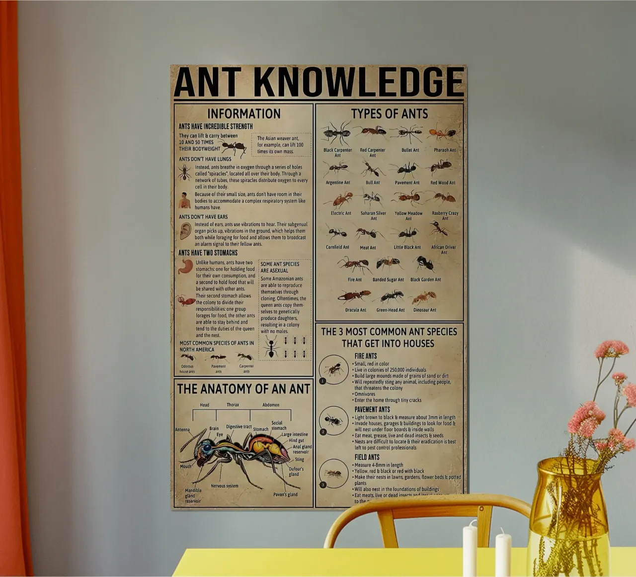 conoscenza delle formiche poster con telaio in plastica da coley