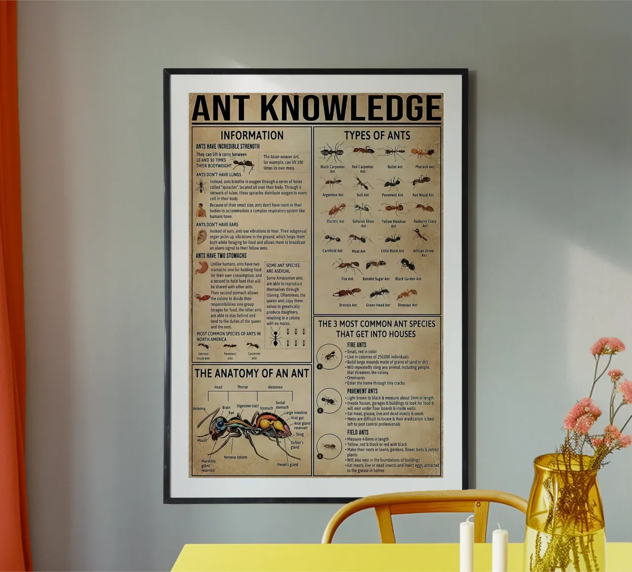 conoscenza delle formiche poster con telaio in plastica da coley