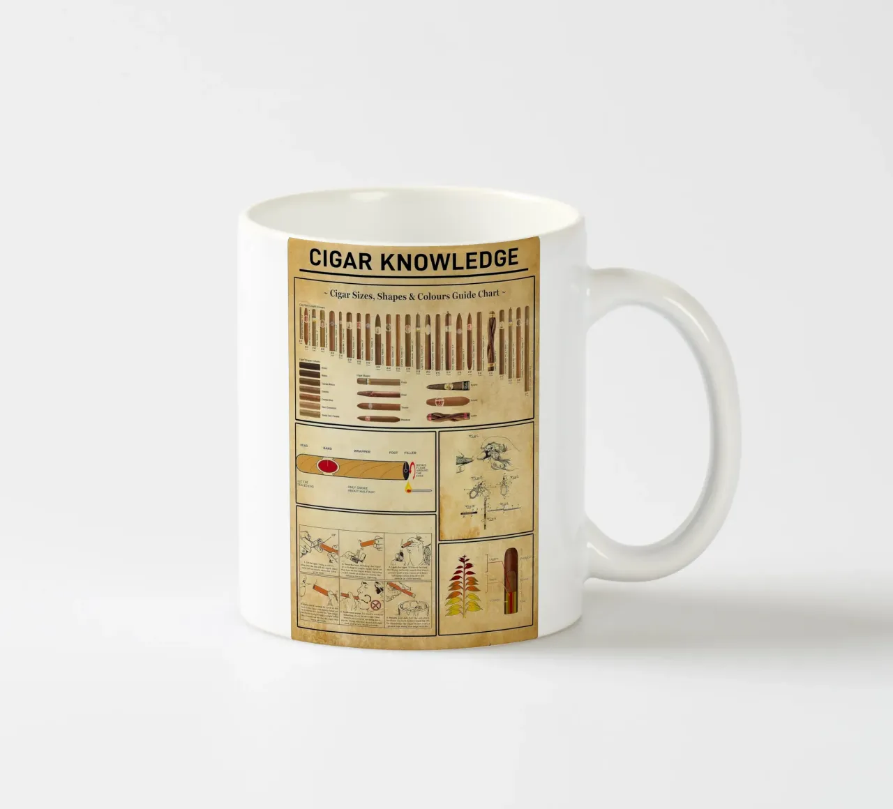 Conoscenza del sigaro tazza in ceramica da coley