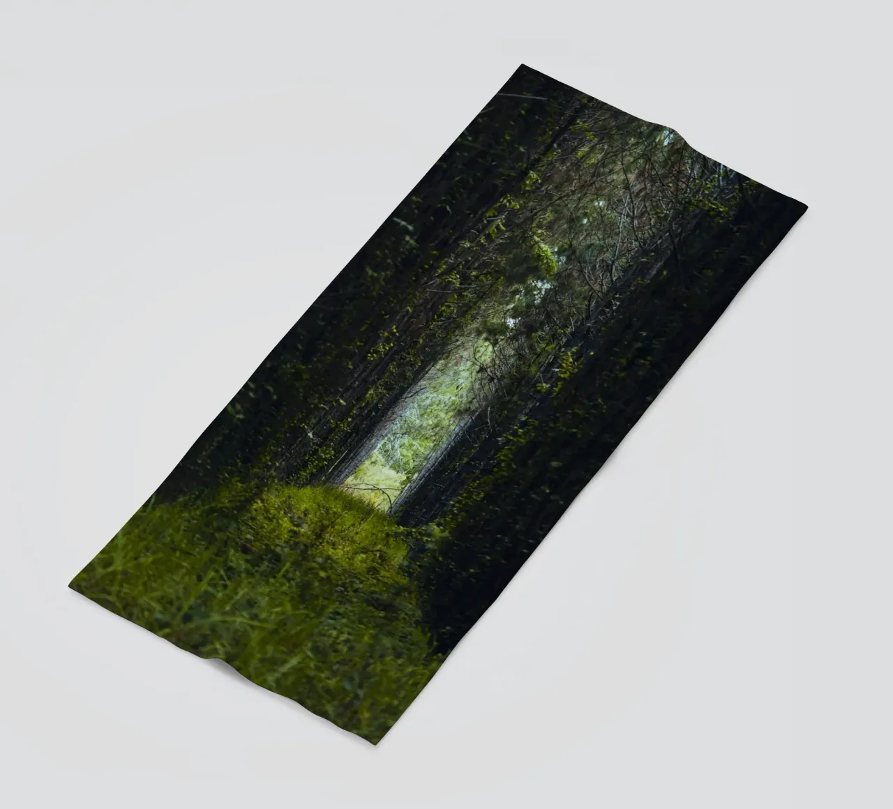 roadway made by grass telo mare da mip of map