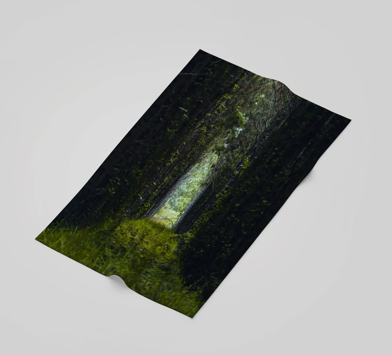 roadway made by grass telo mare da mip of map