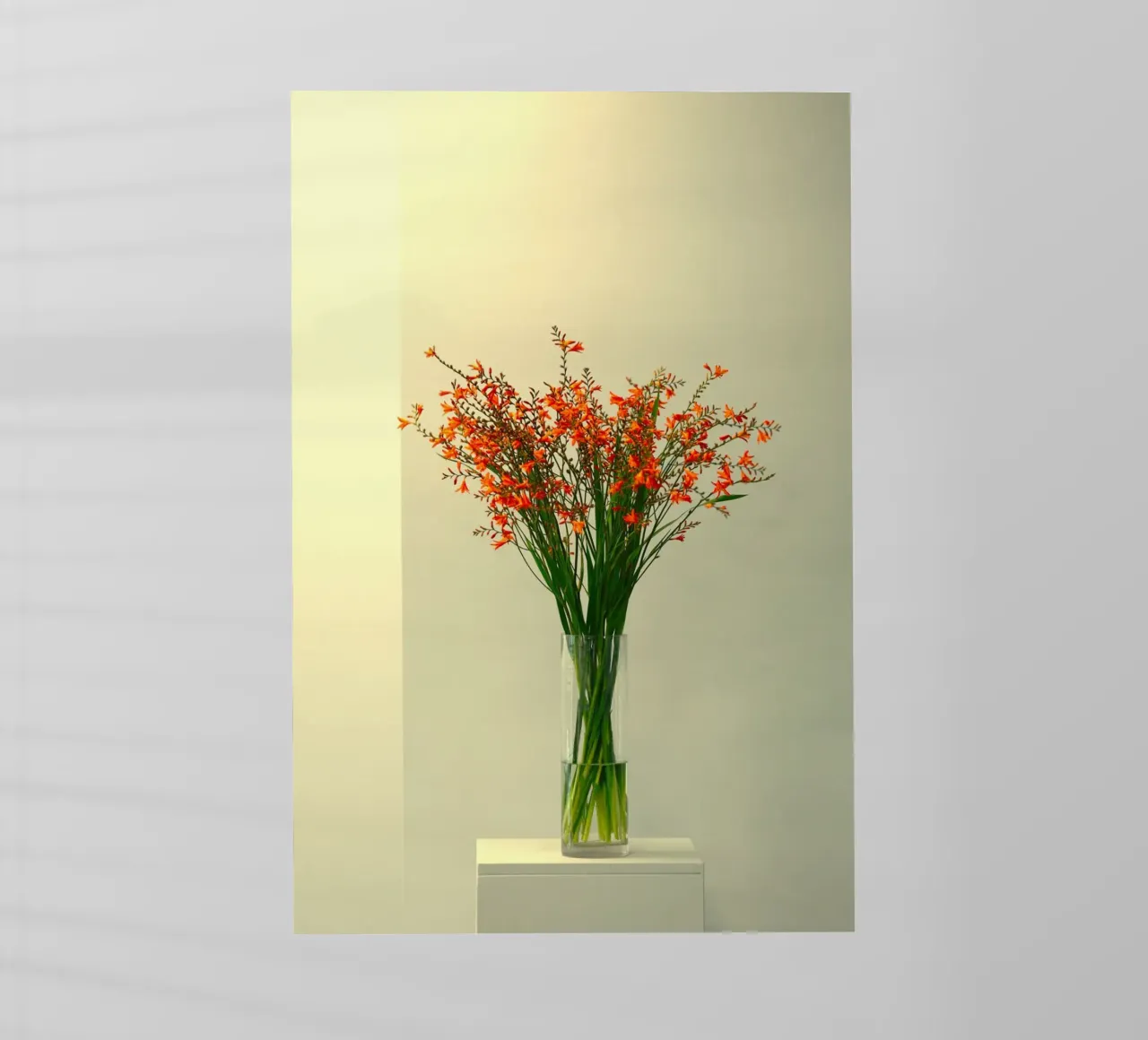 single vase in light pellicola backlit da mip of map