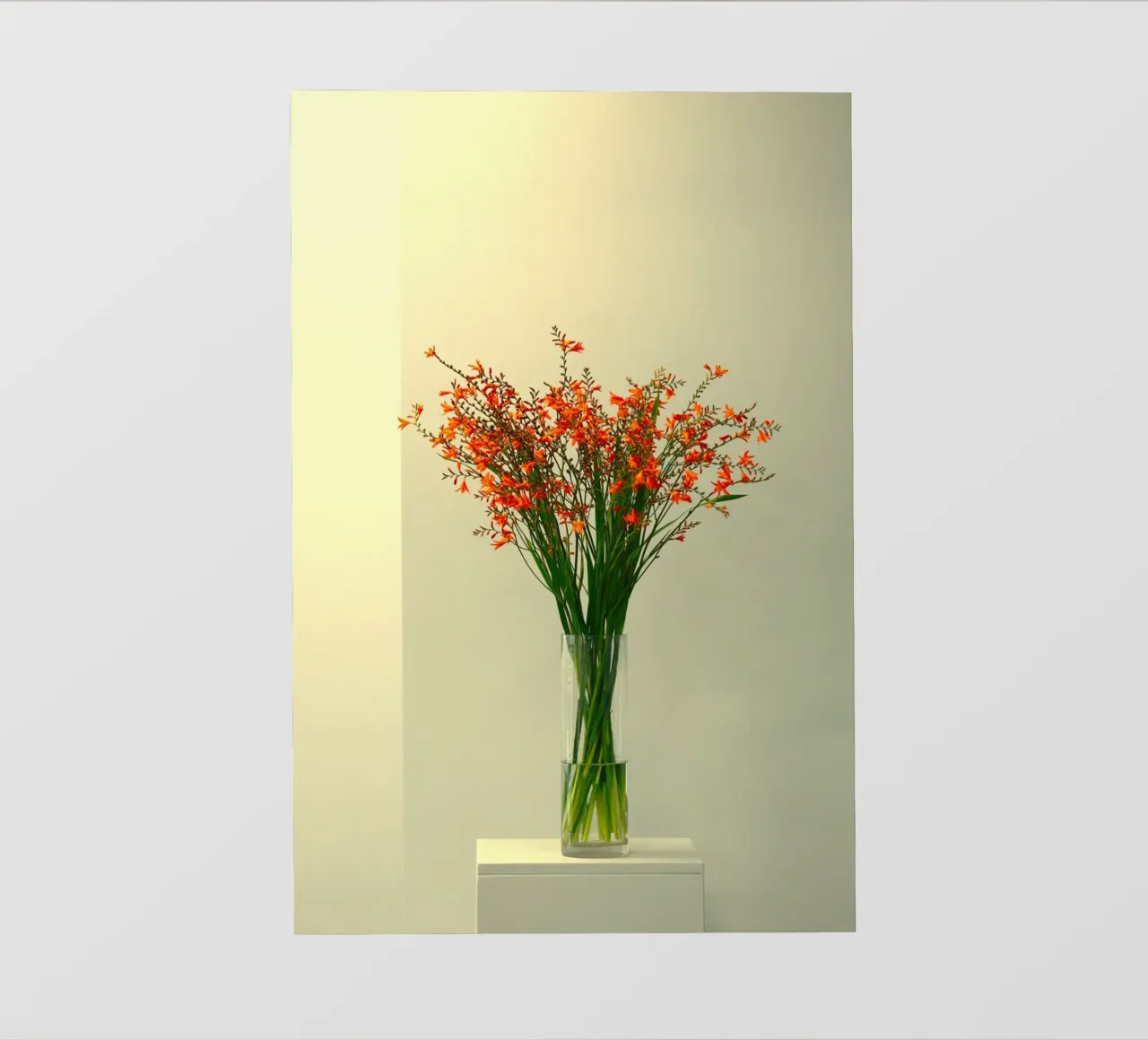 single vase in light pellicola backlit da mip of map