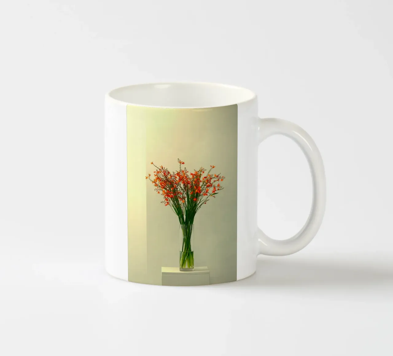 single vase in light tazza in ceramica da mip of map