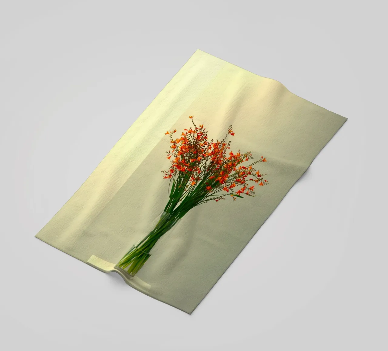single vase in light telo mare da mip of map