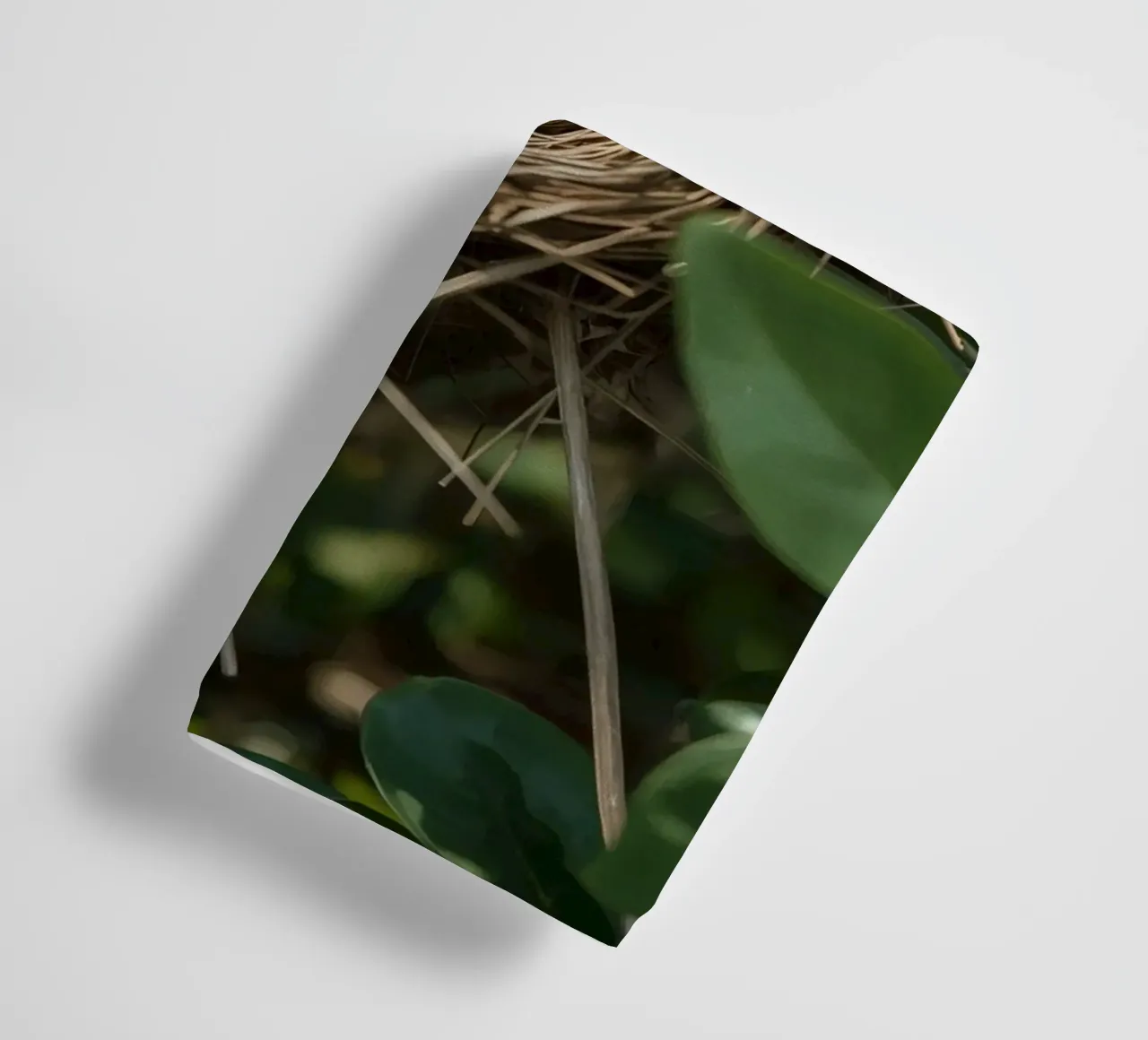 Bird Nest With Eggs In Bush towel by DesignDoodle