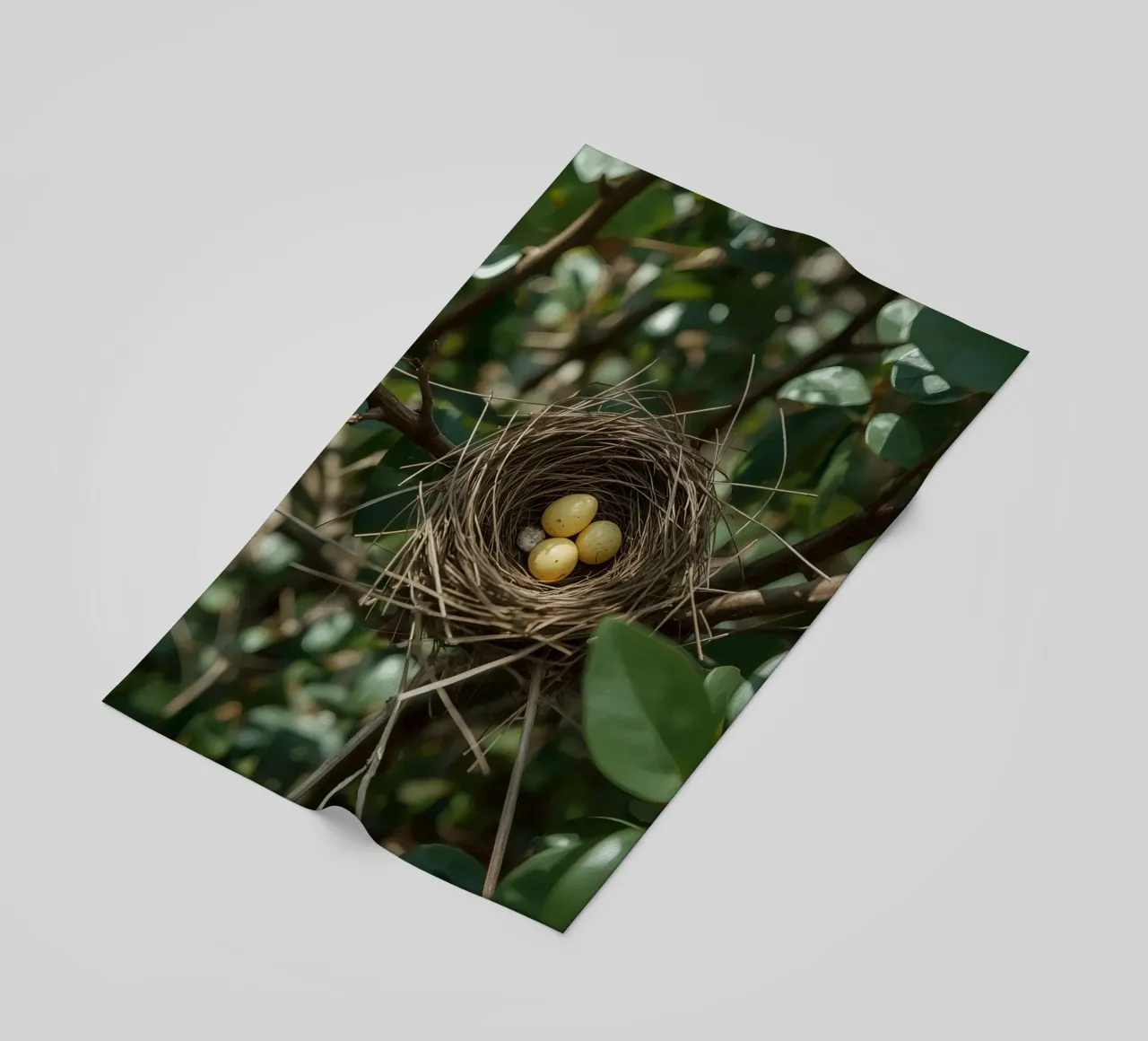 Nido di uccelli con uova in un cespuglio telo mare da DesignDoodle