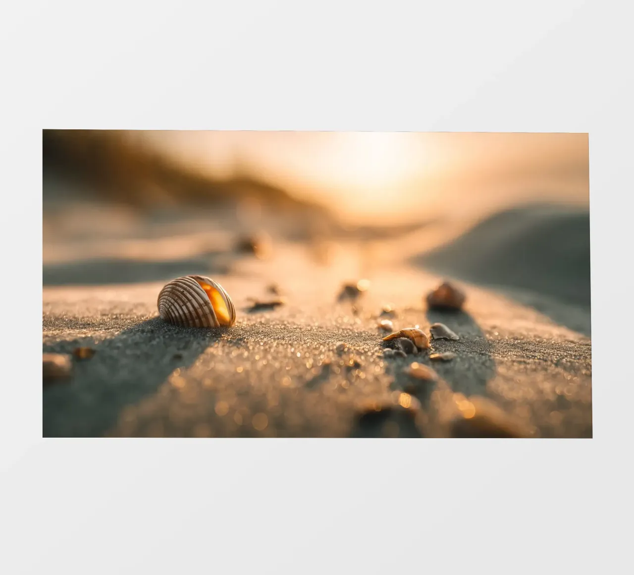 Summer Beach No 01 pellicola backlit da treechild