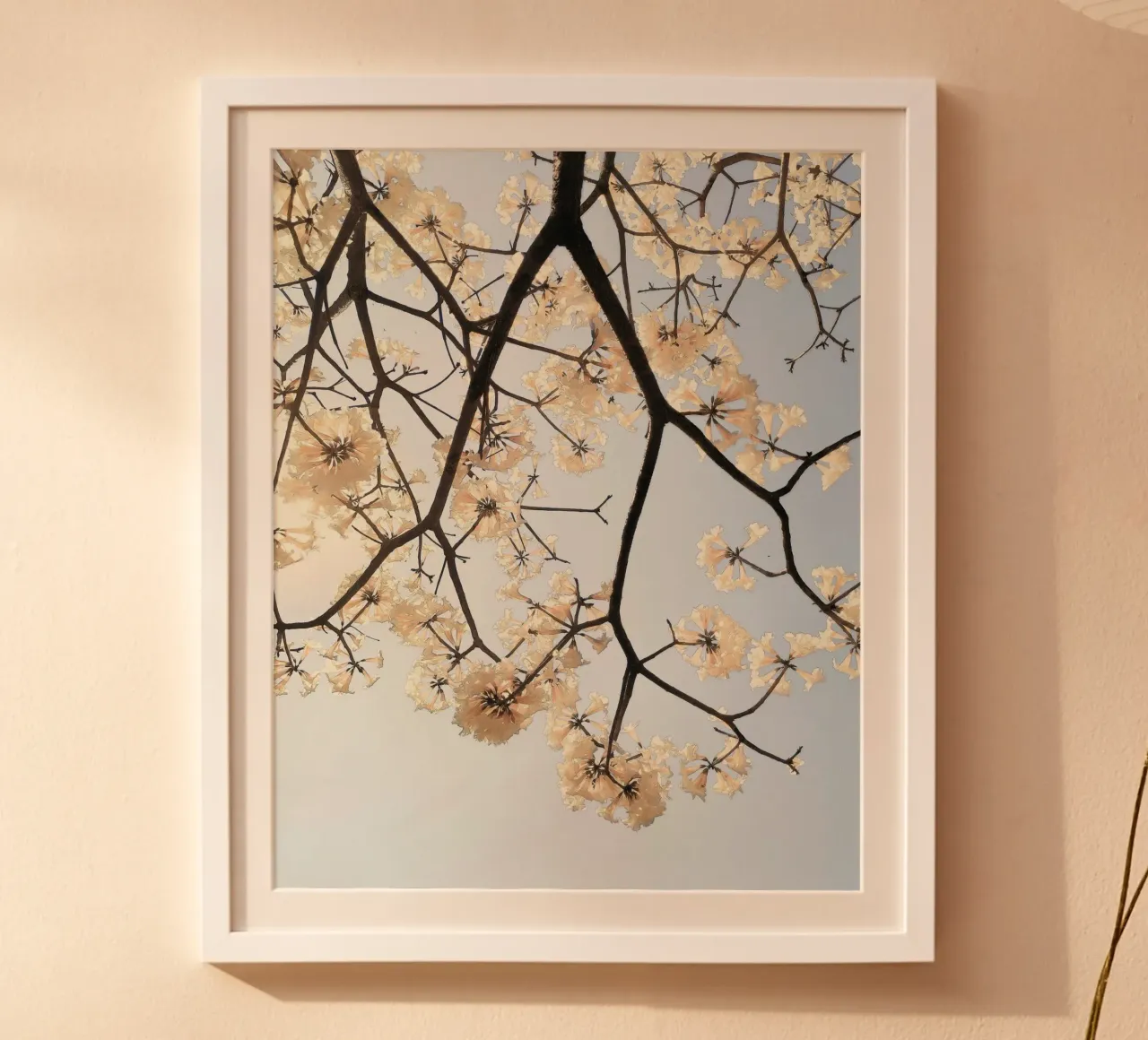 blossom on sky poster con telaio in plastica da space words