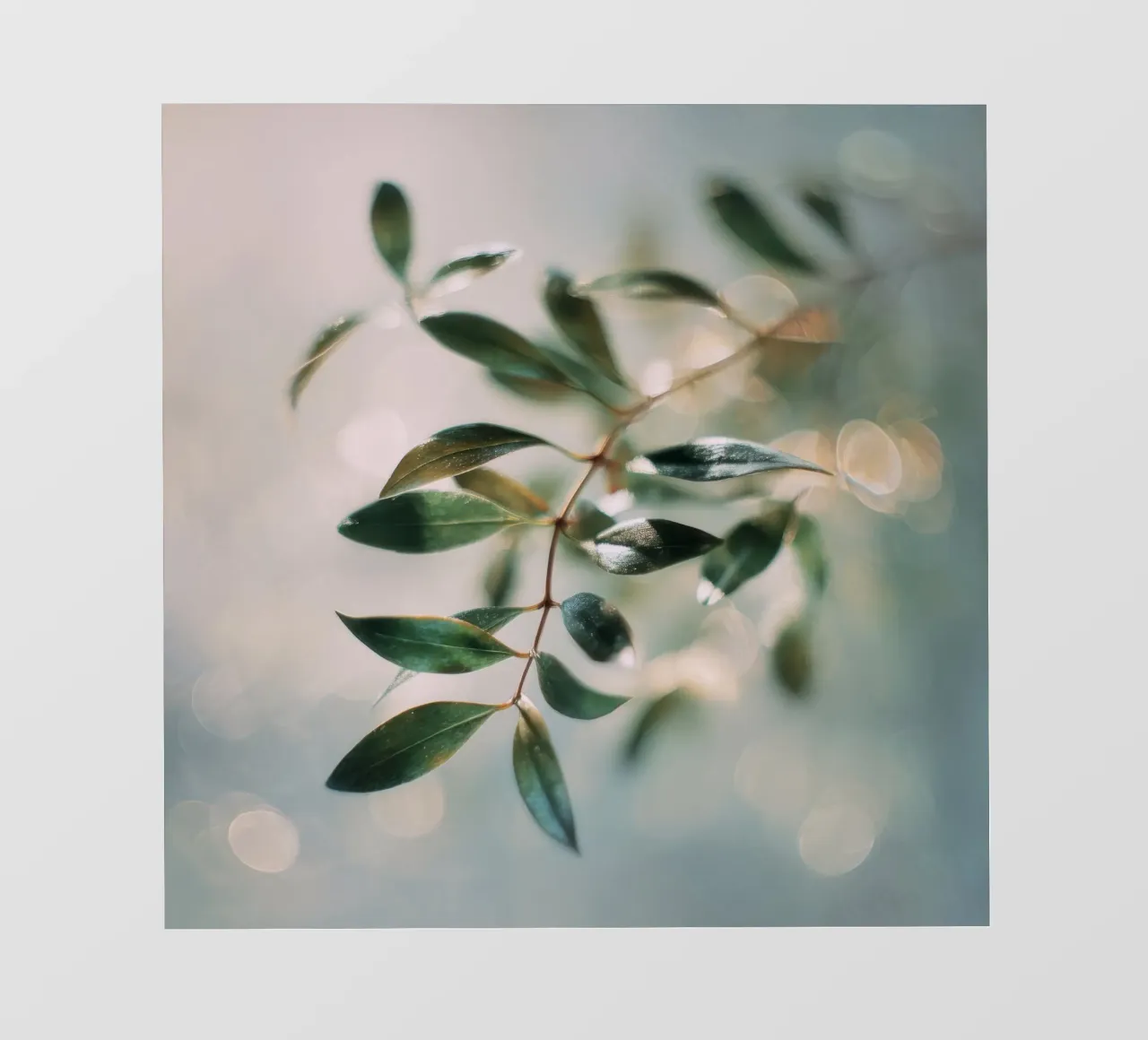 Bokeh Botanica No 01 telo in pvc da treechild