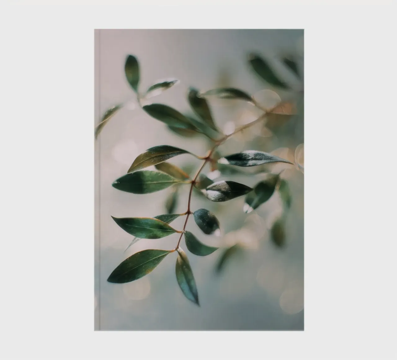 Bokeh Botanica No 01 notebook by treechild