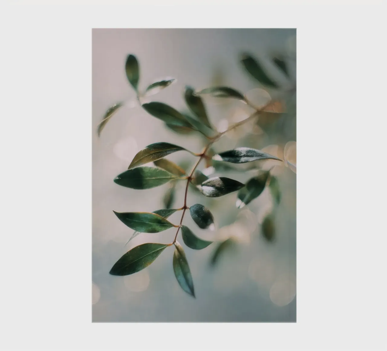 Bokeh Botanica No 01 notebook by treechild