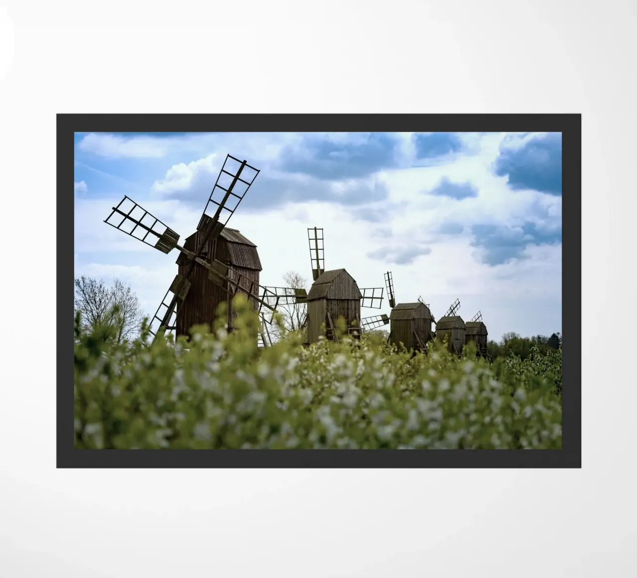 windmill small zerbino da space words