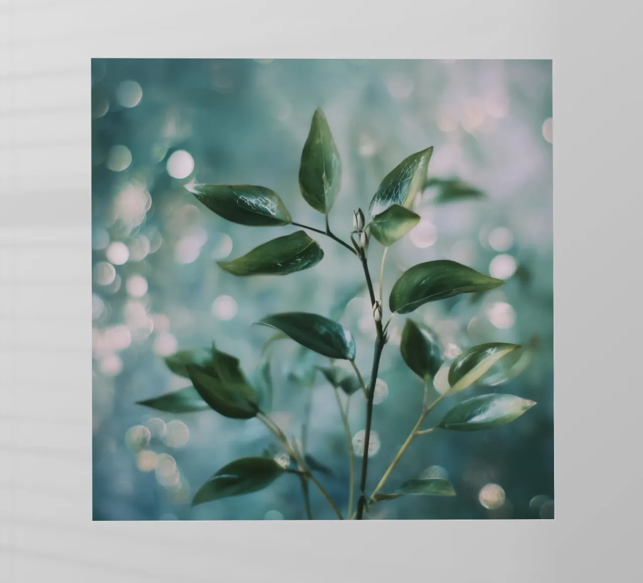 Bokeh Botanica No 02 pellicola backlit da treechild