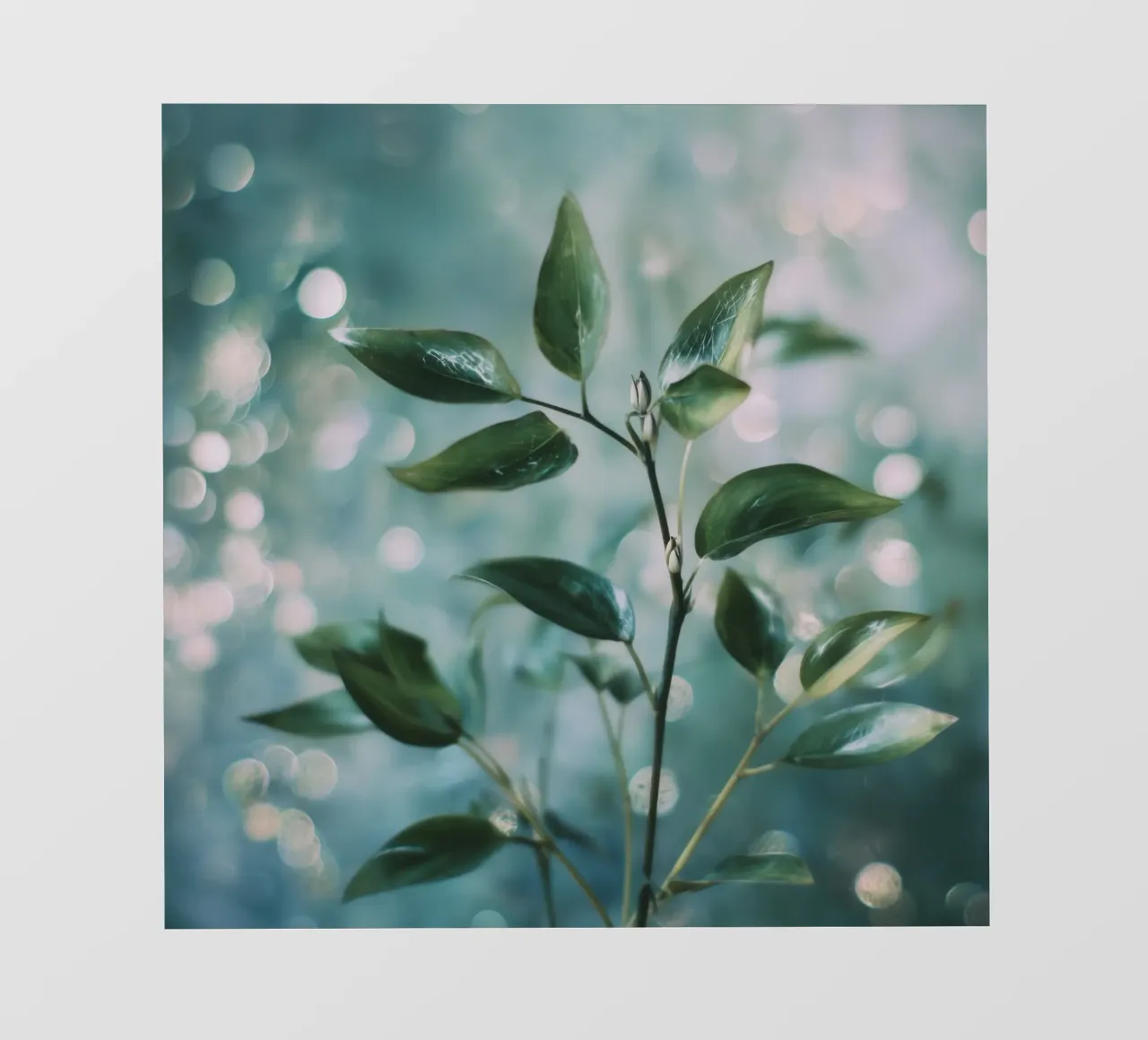 Bokeh Botanica No 02 pellicola backlit da treechild