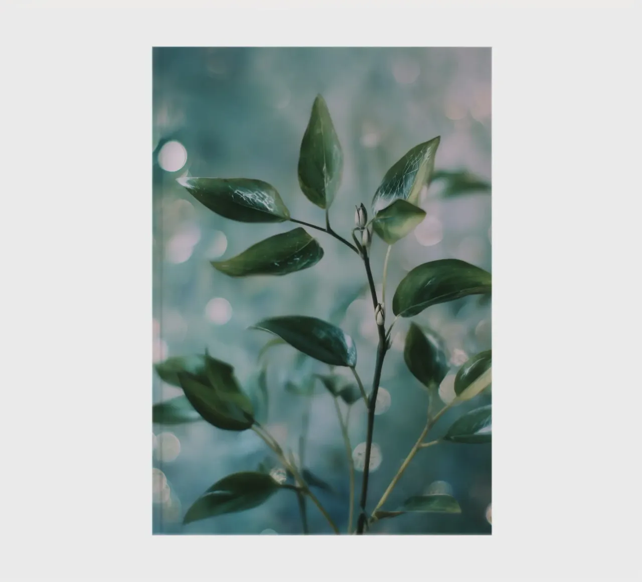 Bokeh Botanica No 02 notebook by treechild