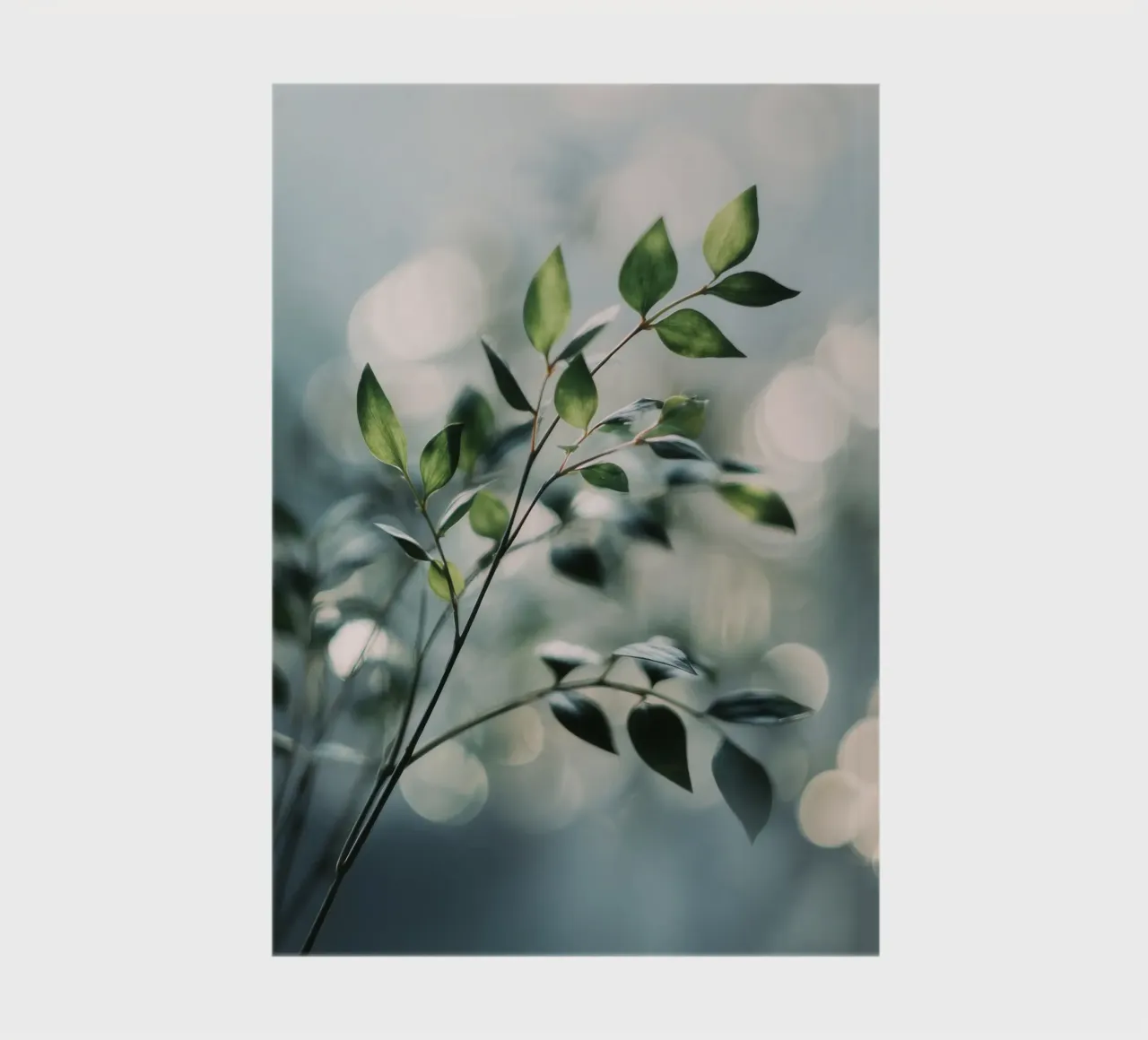 Bokeh Botanica No 04 notebook by treechild