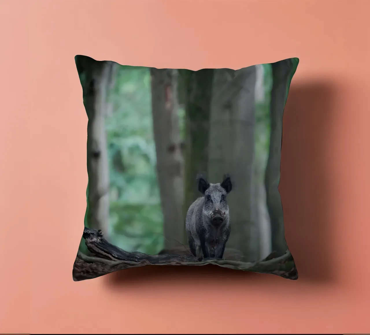 Cinghiale nella foresta cuscino da Tom's Wildlife