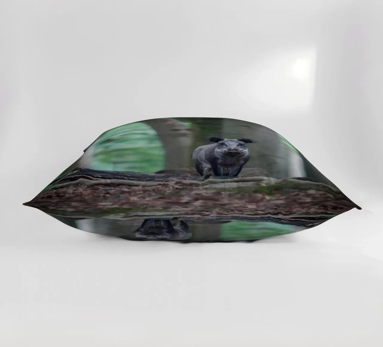 Cinghiale nella foresta cuscino da Tom's Wildlife
