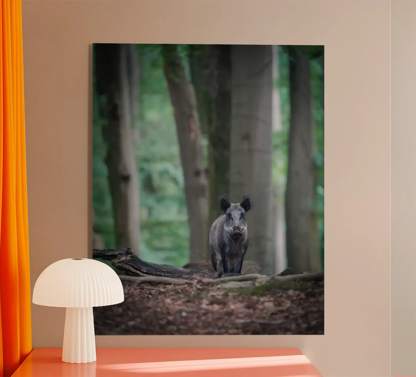 Wild boar in the forest acryl van Tom's Wildlife