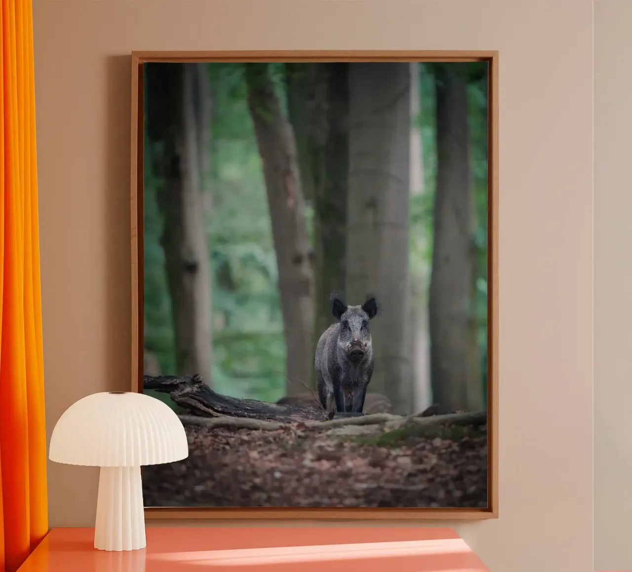 Cinghiale nella foresta tela con Cornice a cassetta da Tom's Wildlife