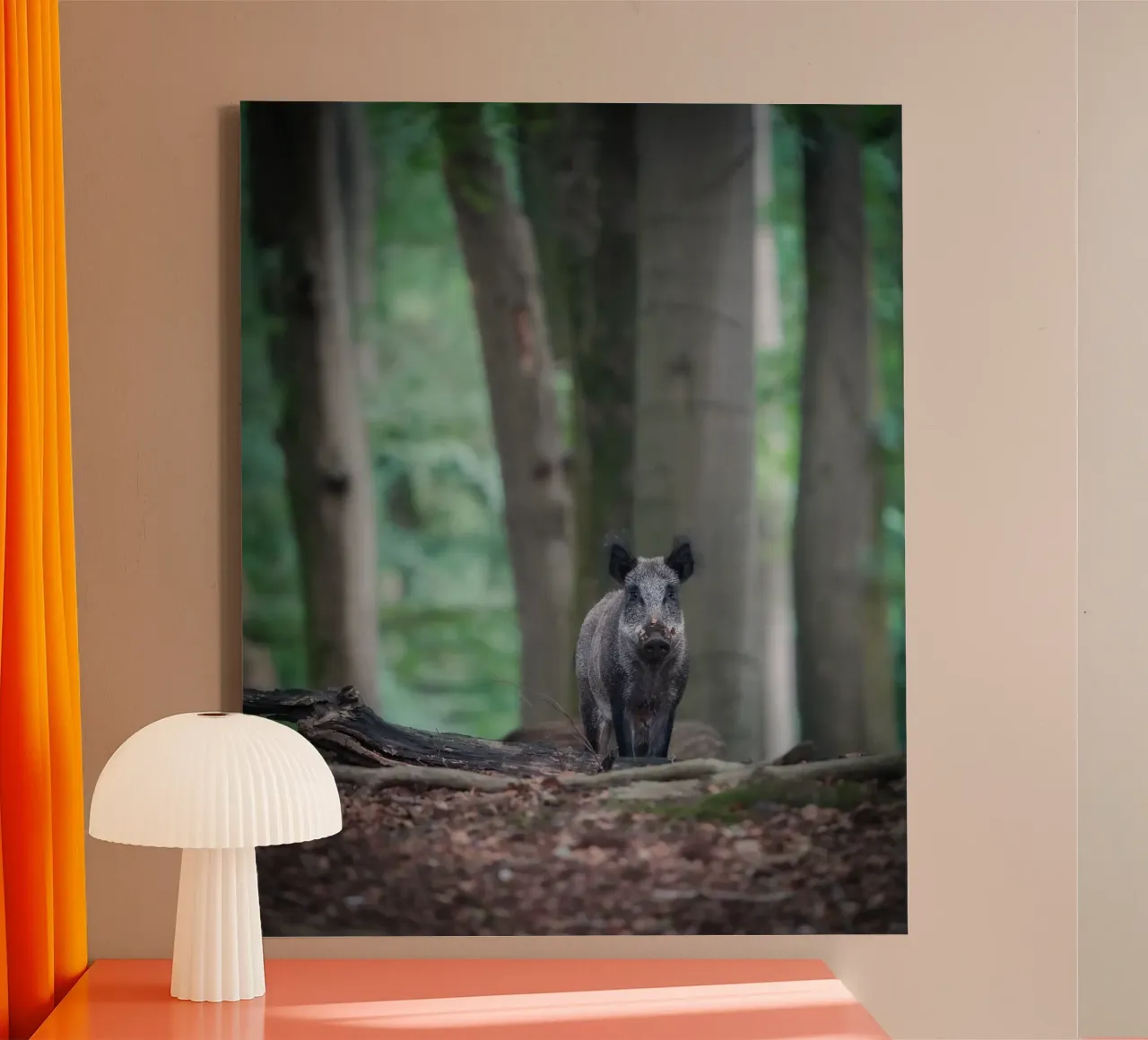 Cinghiale nella foresta tela con Cornice a cassetta da Tom's Wildlife