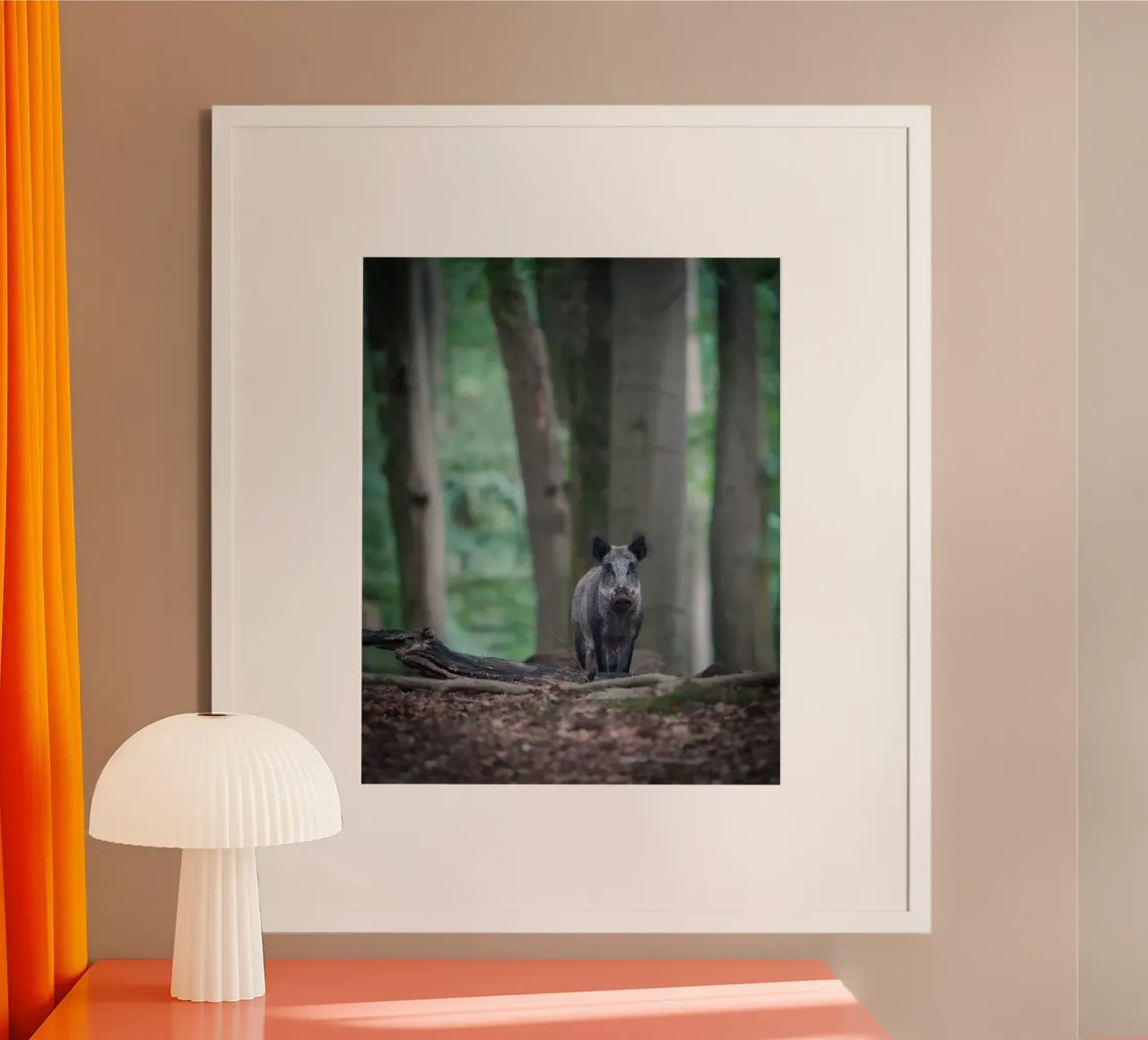 Cinghiale nella foresta poster da Tom's Wildlife