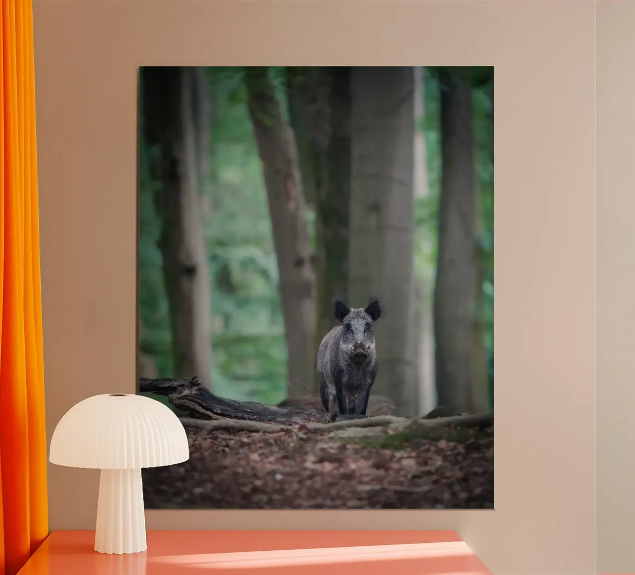 Cinghiale nella foresta poster da Tom's Wildlife
