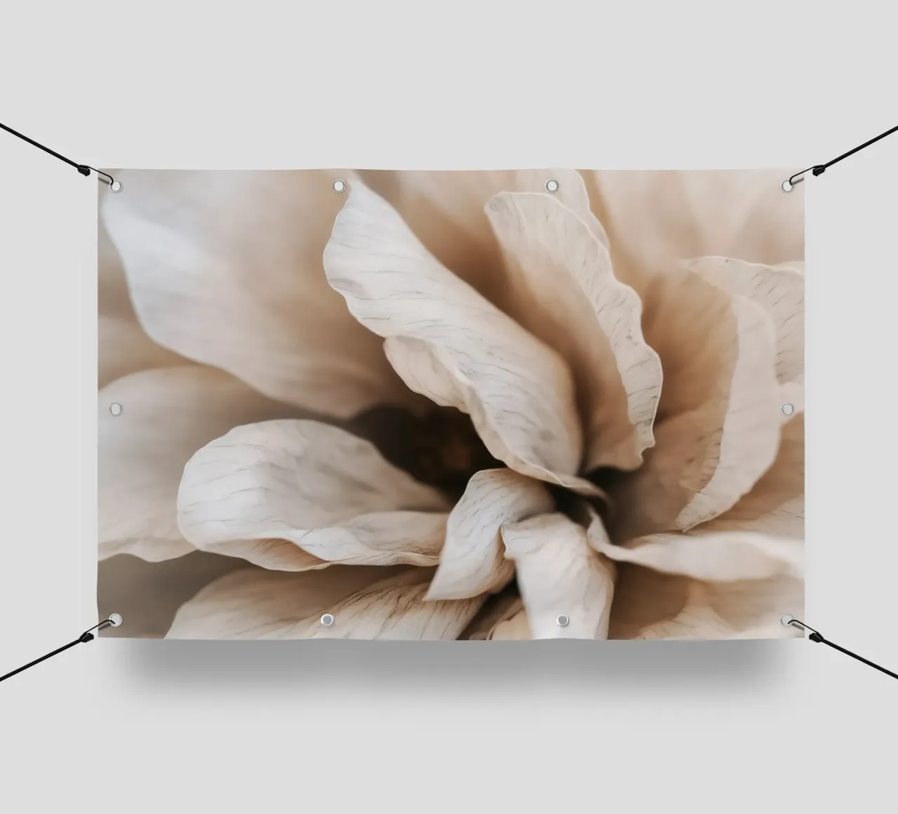 Fragile Bloom No 01 telo in pvc da treechild