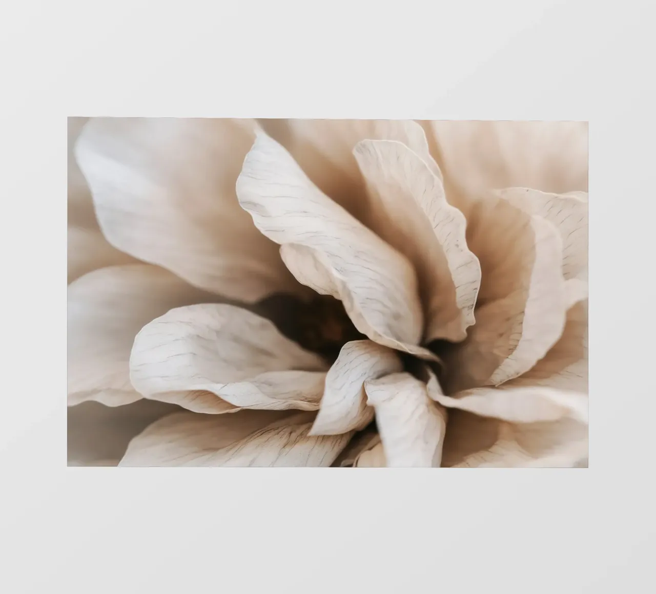 Fragile Bloom No 01 telo in pvc da treechild