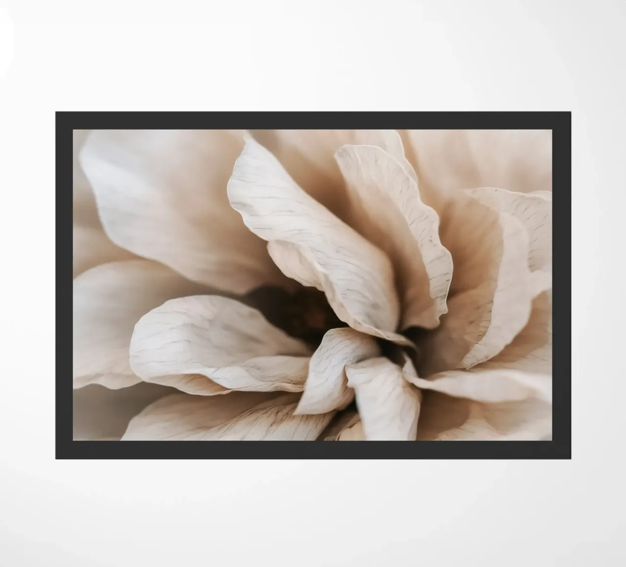 Fragile Bloom No 01 zerbino da treechild