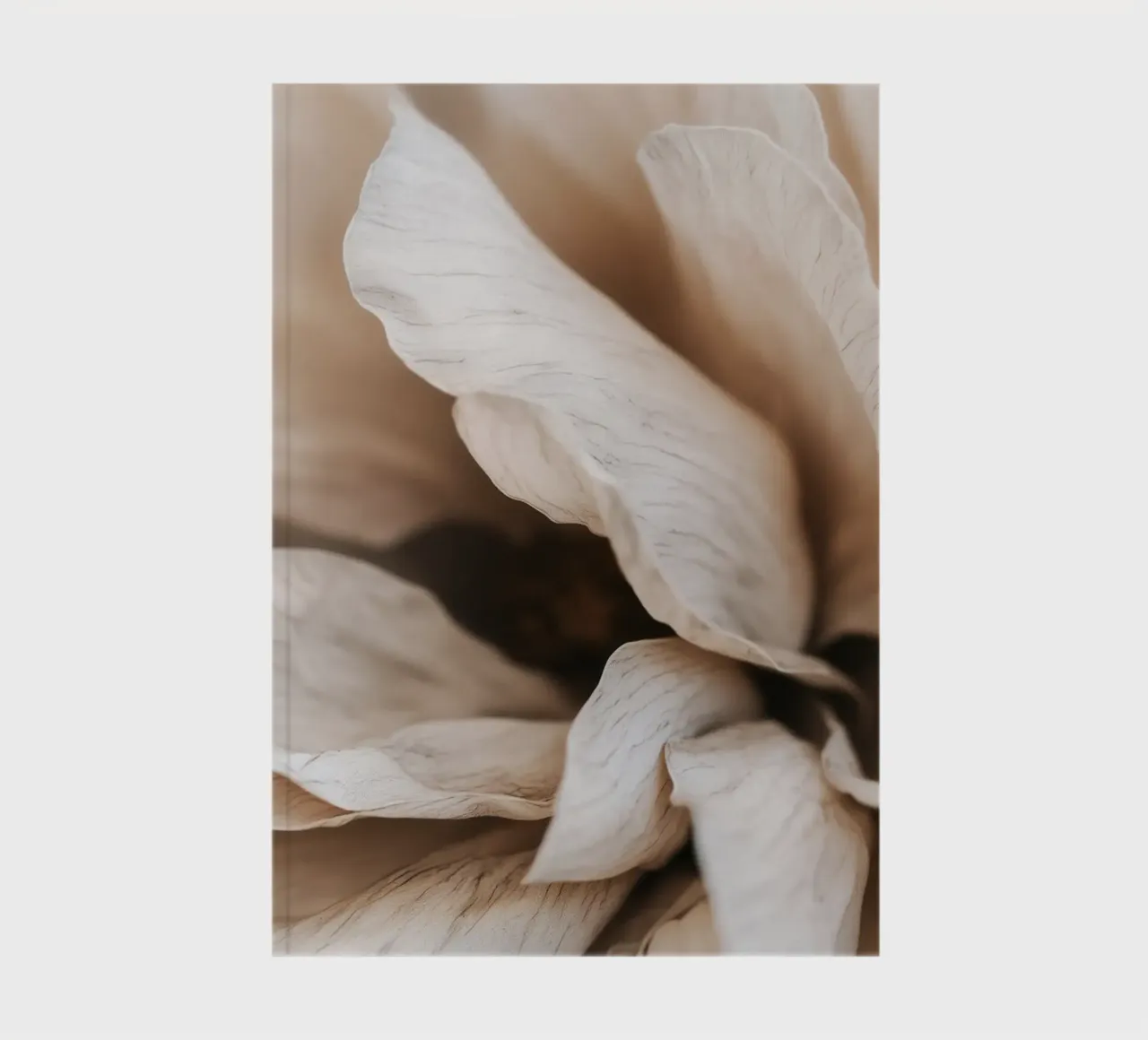 Fragile Bloom No 01 notebook by treechild