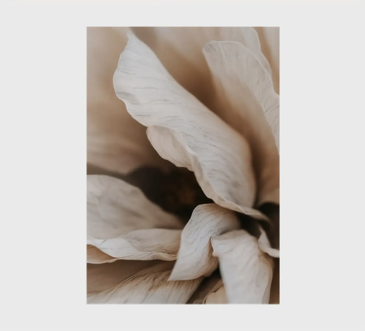 Fragile Bloom No 01 notebook by treechild