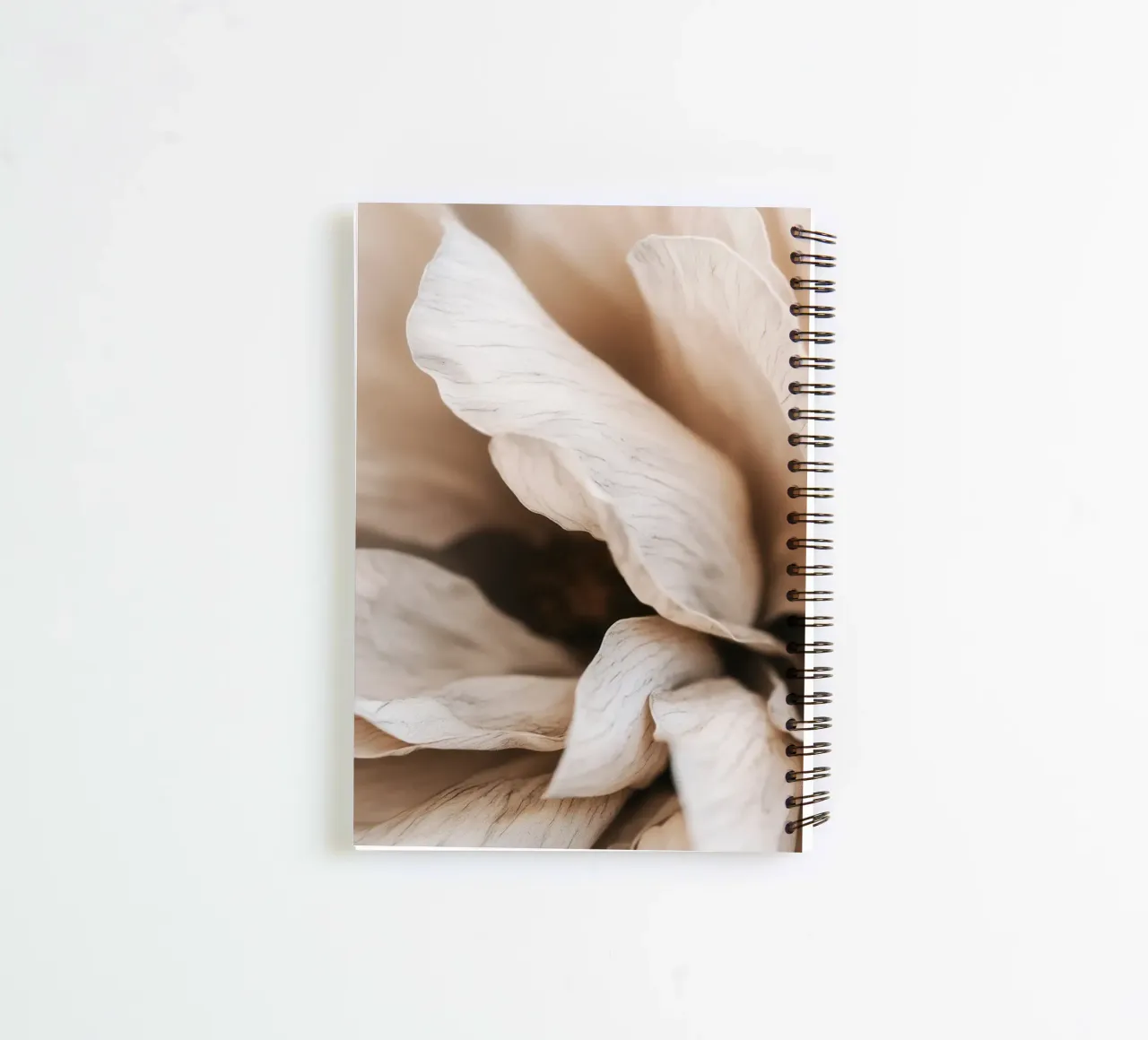 Fragile Bloom No 01 diario ad anelli da treechild