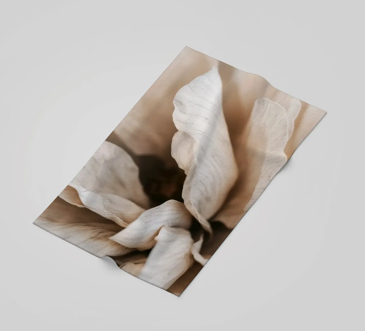 Fragile Bloom No 01 telo mare da treechild