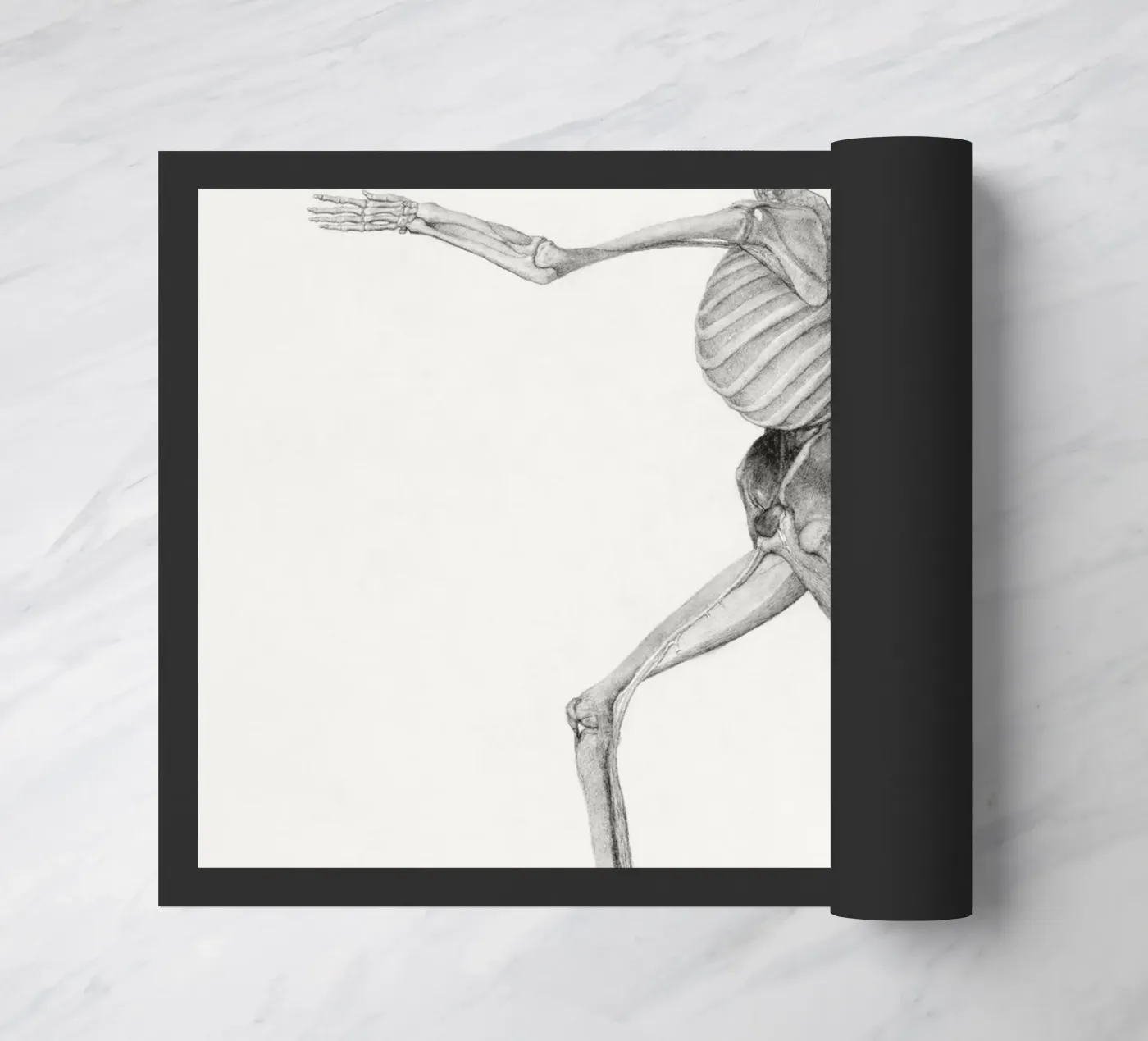 Human Skeleton zerbino da vintageshop